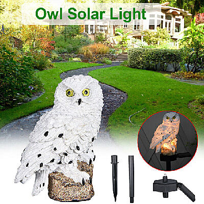 solar owl