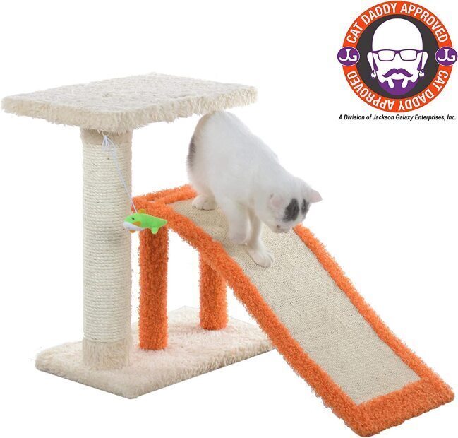 cat climbing ramp